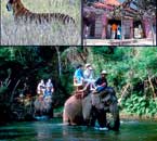 Excursions by shantgriha bed adn breakfast new delhi, near delhi trips, delhi sightseeing, india sightseeing, north india sight seeing